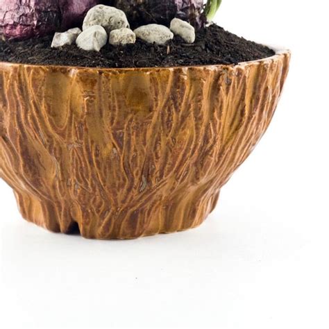 A Potted Plant With Rocks And Plants In It