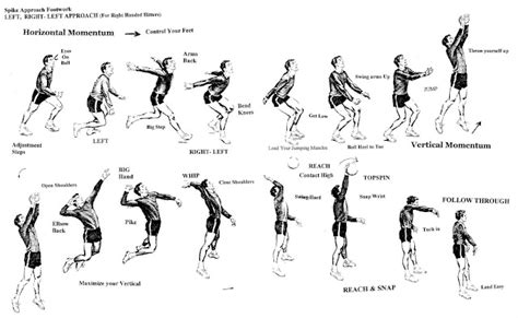 Volleyball Spike: A Biomechanical Analysis: Volleyball Spike: A ...