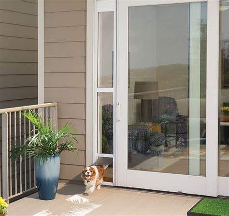 Pet Entry And Exit Panels For Sliding Glass Doors