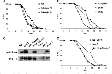 Figure From Jnk Regulates Lifespan In Caenorhabditis Elegans By