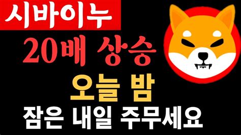 시바이누 』 20배 상승 각 떴다 잠은 그냥 내일 주무세요 시바 시바이누 시바전망 비트코인 도지코인 비트토렌트