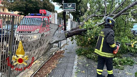 Maltempo Tromba Daria E Grandine Su Lecce Oggi Chiuse Alcune Scuole