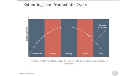 Extending The Product Life Cycle Ppt Powerpoint Presentation Professional