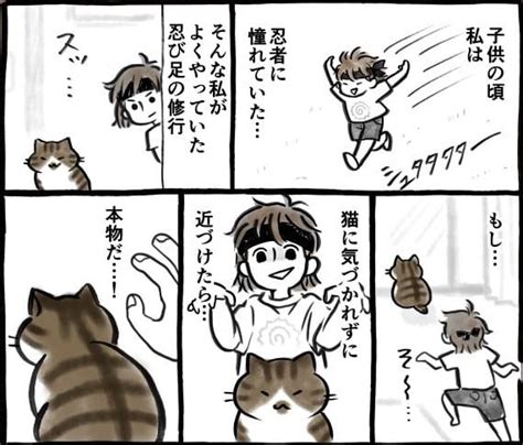 【漫画】「昔は敏感だったのに」年を取り、反応が鈍くなった愛猫「いくつになっても愛おしい」【作者インタビュー】 マグミクス