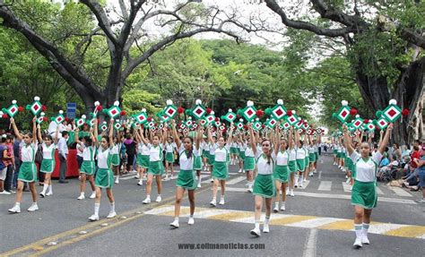 Primaria Material Para El Desfile Del De Noviembre Compartir