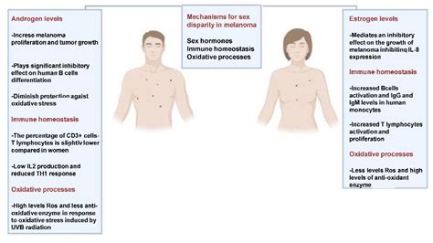 Cutaneous Melanoma And Hormones Focus On Sex Differences And The Testis