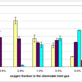 Metabolic Network Model Of The Central Carbon Metabolism Of S