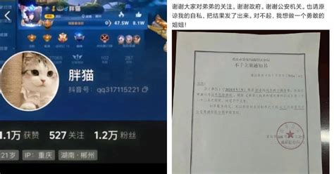 胖貓案大逆轉！警方宣布女友收 228 萬「不構成犯罪」原因曝光！