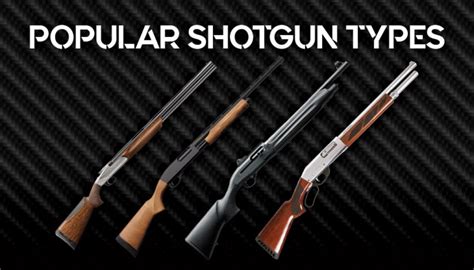 Popular Shotgun Types - Wideners Shooting, Hunting & Gun Blog