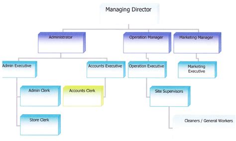 cleaning company cleaning company organizational chart