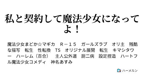 私と契約して魔法少女になってよ！ ハーメルン