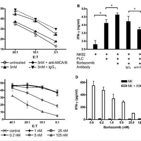 Increase Of Mica B Protein In Hepatoma Cells After Bortezomib