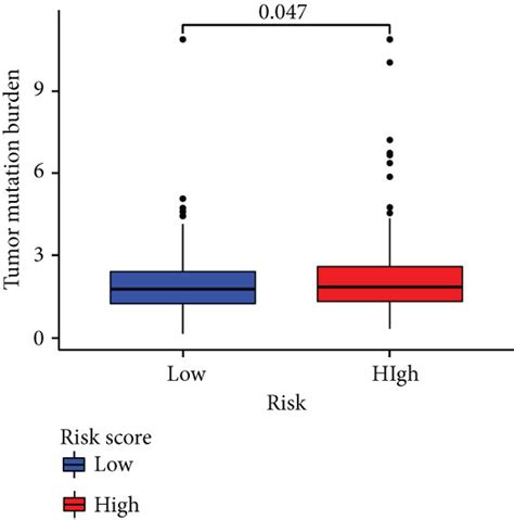 Tumor Mutation Burden Analyses A Boxplots Showed The Differences In Download Scientific