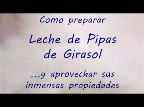 Leche De Pipas De Girasol Y Sus Inmensas Propiedades Youtube