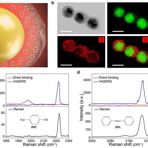 Structures And Characterization Of Vasers Nanoprobes A Schematic