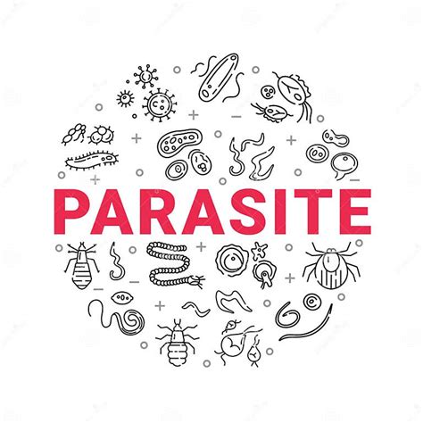 Human Parasites Set Of Vector Linear Icons Stock Vector