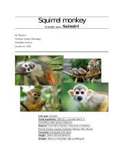 Primate Adaption Paper 2 Docx Nguyen 2 Squirrel Monkey Saimiri A