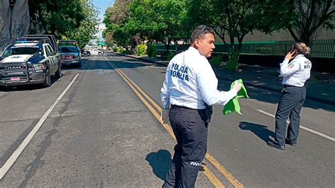 Seis Personas Con Picaduras De Abejas En Plaza Publica De Morelia