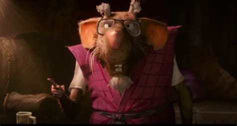 Film Reviewer Claims Seth Rogen Made Splinter Gay In Teenage Mutant