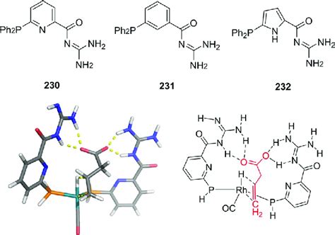 Acyl Guanidine Functionalized Phosphine Ligands 230− 232 Which Form Download Scientific