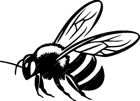 Premium Vector Bee Black And White Vector Illustration