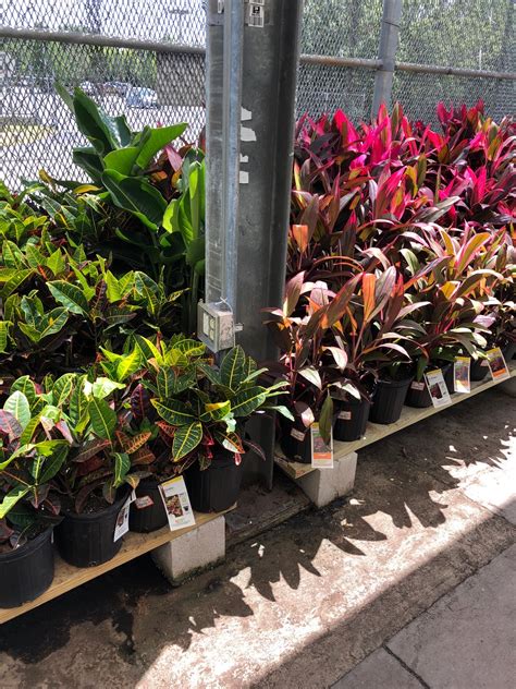 port richey home depot