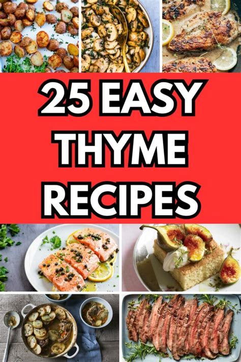 25 Timeless Thyme Recipes for Flavorful Feasts - Happy Muncher