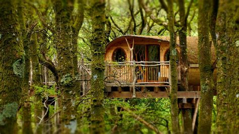 Away With The Fairies The Uks Most Magical Treehouse Hotels The Week