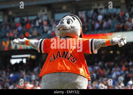 San Francisco, CA: San Francisco Giants' mascot Lou Seal cheers for ...