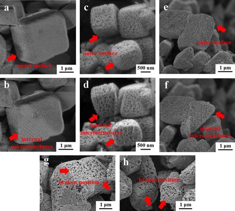 Sem Images Of A Agcl C Network Porous Ag Nanocubes And E Dot Shaped