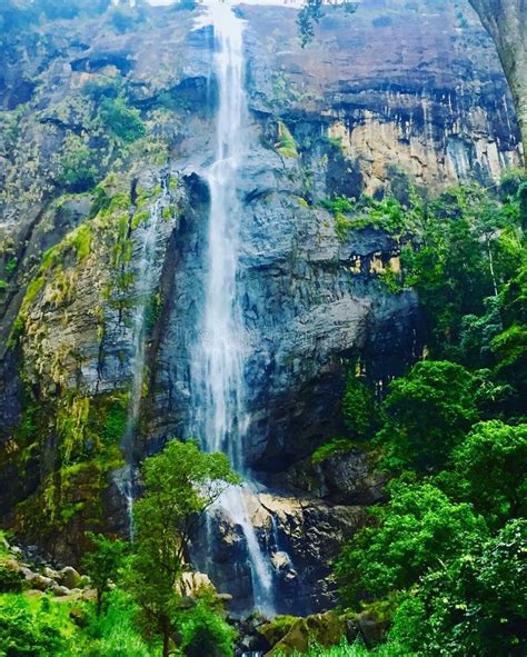 Diyaluma Water Fall Sri Lanka Stock Image Image Of Cliff Tree