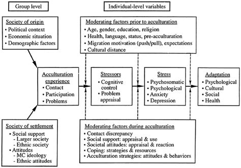 Acculturation Process