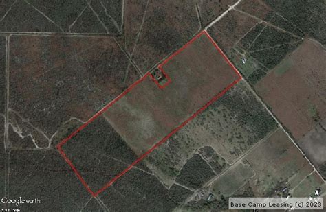 Duval County Texas Hunting Lease - Property #9311 | Base Camp Leasing