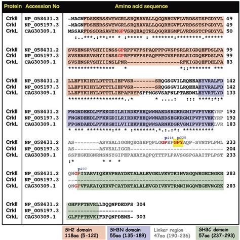 Comparative Analysis Of Amino Acid Sequences And Positions Of