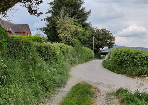 Lane At Morwood Mat Fascione Cc By Sa Geograph Britain And Ireland