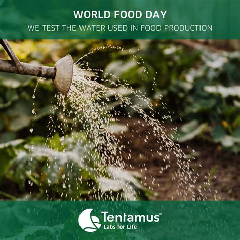 Tentamus Group On Linkedin 💧water Is Essential For Our Food 💧 On Worldfoodday The United