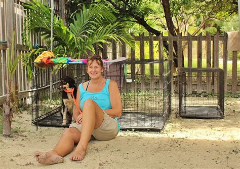 About Us Caye Caulker Humane Society