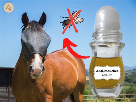 Diy Fabriquer Son Anti Mouche En 2020 Soins Des Chevaux Anti Hot Sex