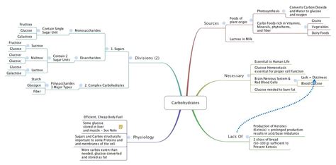 Carbohydrates Concept Map