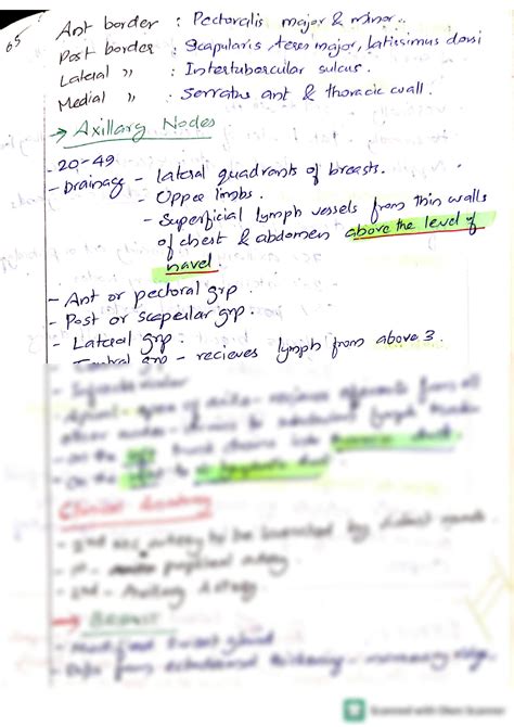 SOLUTION Anatomy Upper Limb Pectoral Region Axilla Breast Studypool