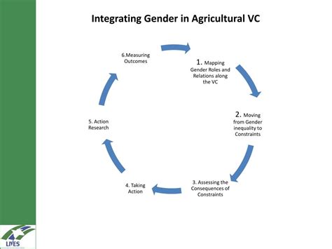 Ppt Mainstreaming Gender In Lives Value Chain Development