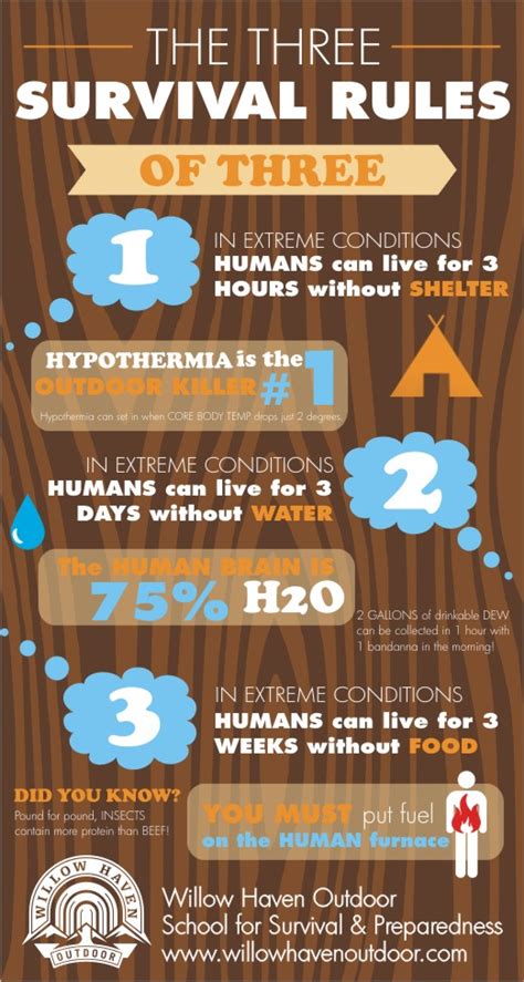 The Survival Rule Of 3's Infographic