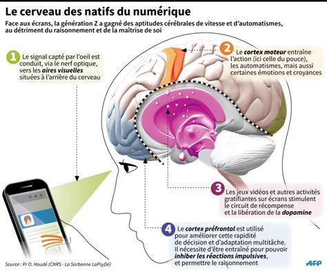 Génération Z le cerveau des enfants du numérique 12 février 2015