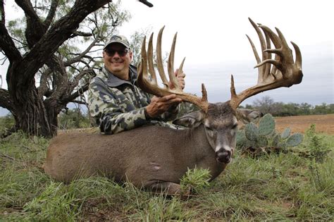 Hunt Texas Whitetail Deer Axis Deer Scimitar Horned Oryx At The