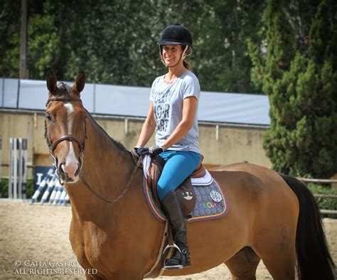 Longines Global Champions Tour Cracks Treinaram No Hip Dromo