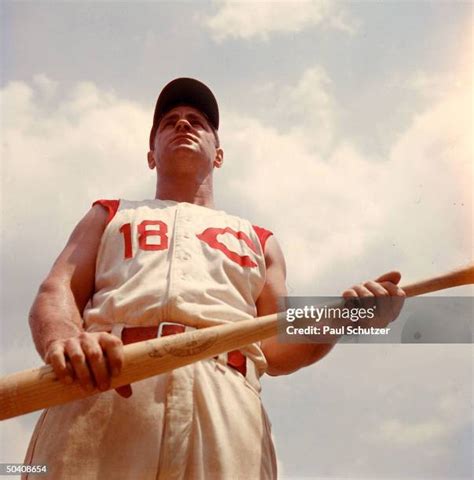 89 Ted Kluszewski” Baseball Stock Photos High Res Pictures And Images