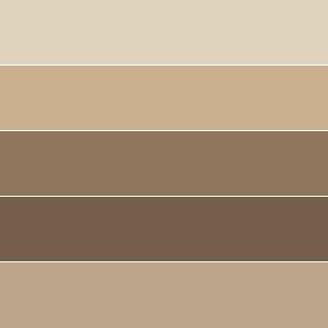 Some Brown And Beige Colors Are In The Same Color Scheme