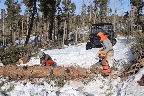 Enchanted Forest Cross Country Ski Area Comes Back To Life Questa News