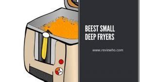 5 Best Small Deep Fryer For Home Use | Reviewho