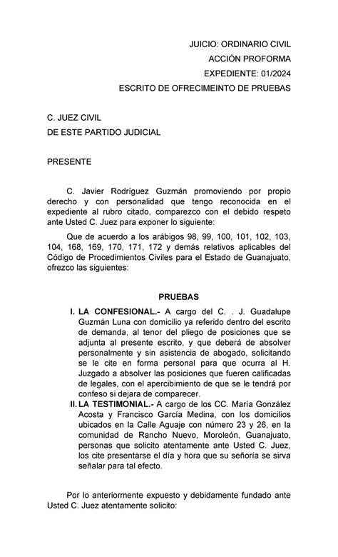 Escrito De Ofrecimiento De Pruebas Civil Juicio Ordinario Civil